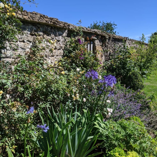 North Bowood Farmhouse